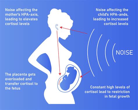 is loud music bad for baby in womb does it affect the baby's hearing?